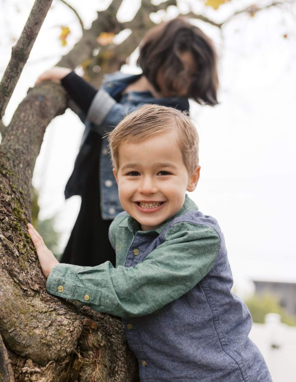 Kids climbing tree Two happy young children climbing tree